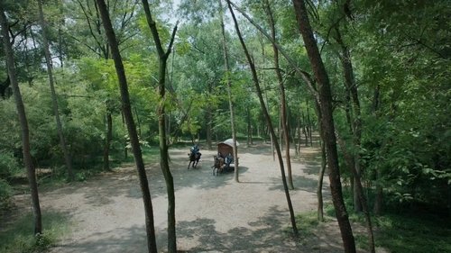 Tập 41