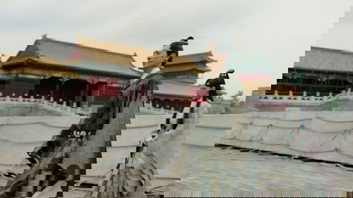 Tập 25